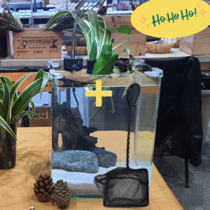 Kit aqua noël : épuisette+ jardinière